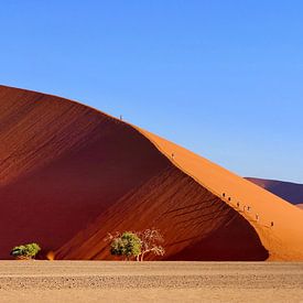 Duinwandeling Duin 45 van Herbert Böck