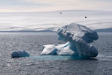 Een mooi gevormde ijsberg in Antarctica van Anges van der Logt
