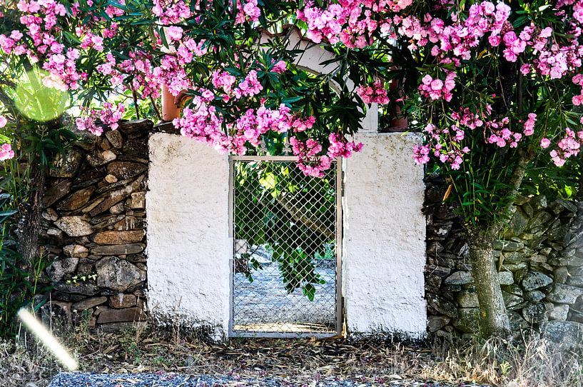 roze bloemen hekje by Sabrina Varao Carreiro