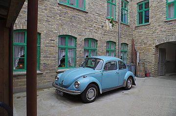 Blue beetle III by Richard Pruim