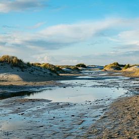 das Naturschutzgebiet de hors auf dem südlichen Teil der Insel Texel von ChrisWillemsen