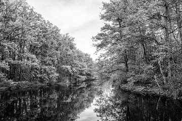 Herbst in Grau von Judith van Mil