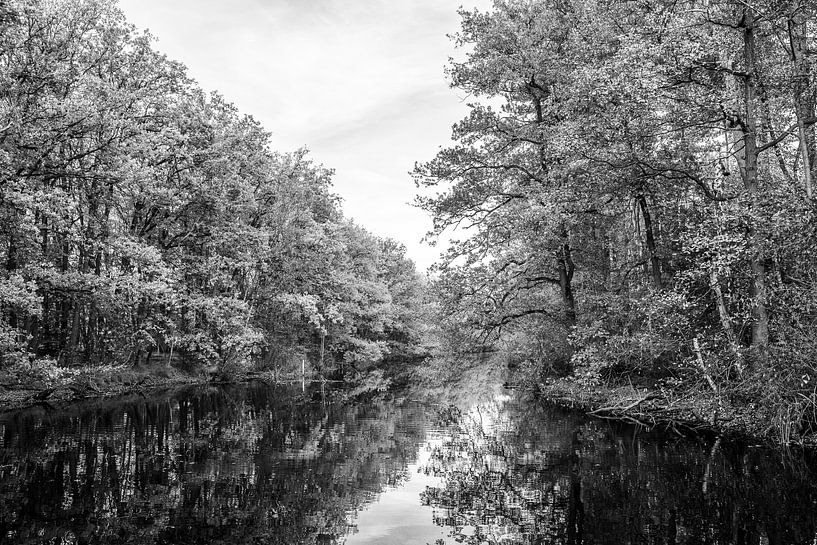 Autumn in grey van Judith van Mil