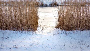 Passage by Jan van der Knaap