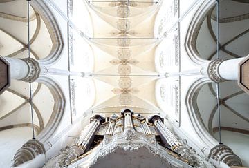Kamorgel Grote Kerk Dordrecht van Ilse de Deugd