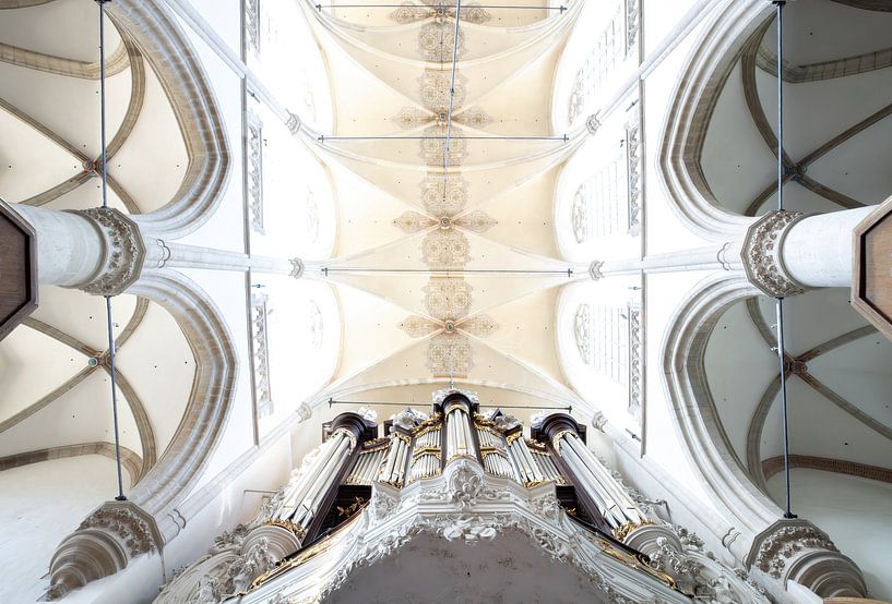 Chamber organ Grote Kerk Dordrecht by Ilse de Deugd