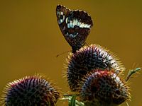 Besuchen Sie