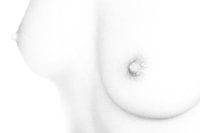 Les seins d'une femme en noir et blanc
