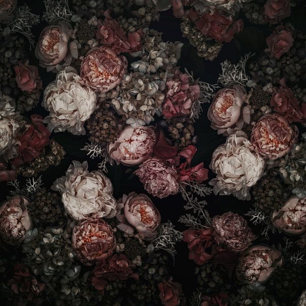 Adela by Marina de Wit