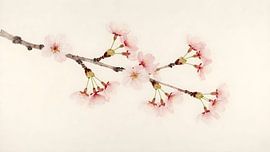 A delicate floral dream in creamy white by Kristin M