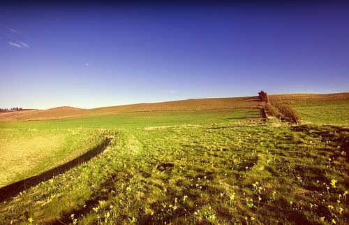 Landschap in Denemarken