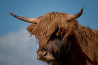 De Hooglander