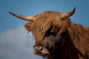 De Hooglander