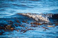 View of the waves and the water of the sea