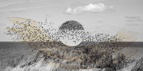 Zwerm vogels met een cirkel