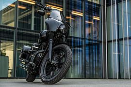 Harley Davidson von Bas Fransen