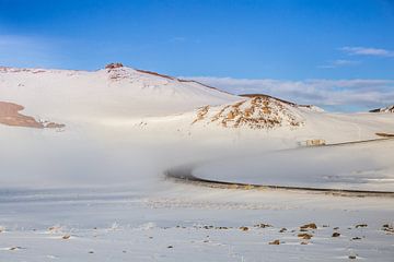 Icelandic foggy morning van Thomas Bekker