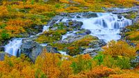 Herfst langs de Gamle Strynefjellsvegen, Noorwegen van Henk Meijer Photography thumbnail