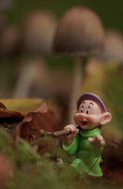 Hout sprokkelen in het bos von Incanto Images