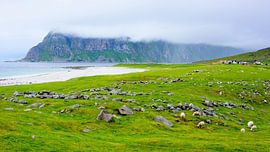 Tiefhängende Wolken über Uttakleiv von Gisela Scheffbuch