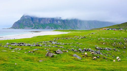 Tiefhängende Wolken über Uttakleiv
