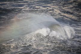 Breakin' wave by Alexander Michalewski