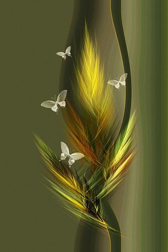 Papillons magiques