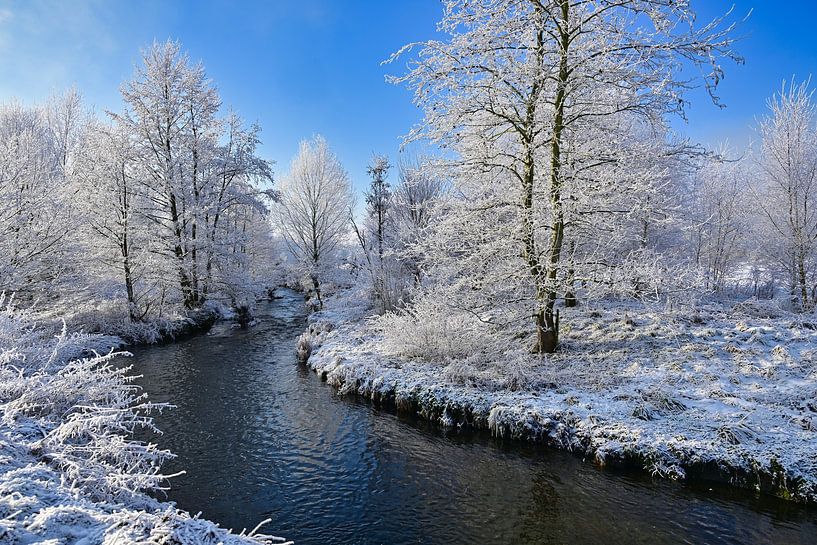 Wintermorgen von Bernhard Kaiser