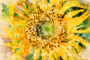 Sonnenblume (abstrakte Kunst, Aquarell) von Art by Jeronimo