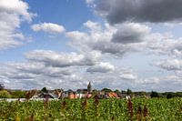 L'été au village