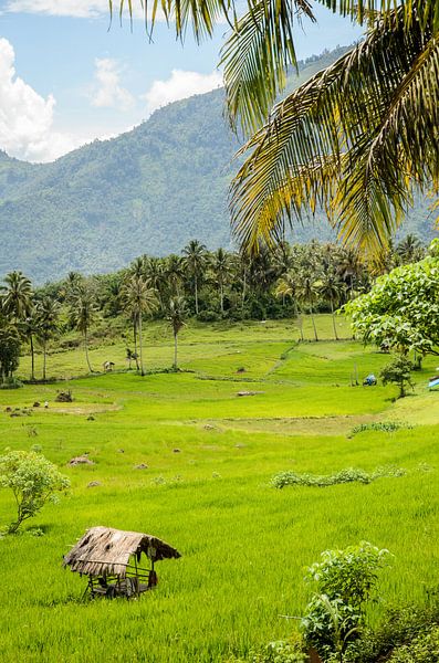 Sumatra par Hans Lunenburg