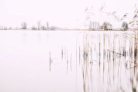 High Key aan het Sitebuorster Ie von Remco de Vries