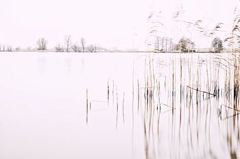 High Key aan het Sitebuorster Ie