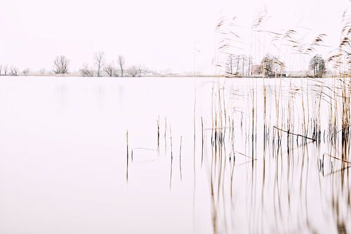 High Key aan het Sitebuorster Ie