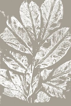 Witte bladeren in retro stijl. Moderne botanische minimalistische kunst in betongrijs en wit van Dina Dankers