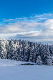 Winterwunderland Thüringer Wald am Schneekopf von Oliver Hlavaty