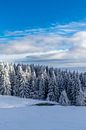 Winter Wonderland Thüringer Woud bij Schneekopf van Oliver Hlavaty thumbnail