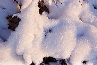 Gekristalliseerde sneeuw