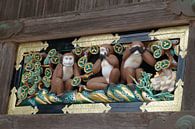 nichts hören sehen sagen affen bei der Toshogu shrine in Nikko, Japan von Aagje de Jong Miniaturansicht