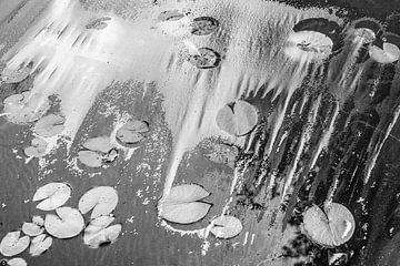 Teich mit Seerosen abstrakt von Marijke de Leeuw - Gabriëlse