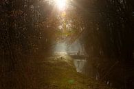 Ruhig und aufregend: Mystische Waldlandschaft im Morgenlicht von Karin van Es Miniaturansicht