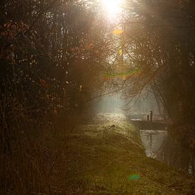 Ruhig und aufregend: Mystische Waldlandschaft im Morgenlicht von Karin van Es