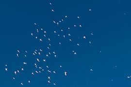 Sky blue by Wildthurn Photography