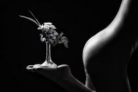 Kleiner Blumenstand