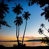 coucher de soleil avec les palmiers Uepi Solomon islands sur Ron van der Stappen