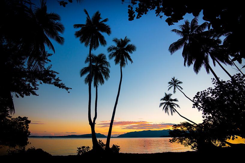 Sonnenuntergang mit Palmen Uepi-Solomon-Inseln von Ron van der Stappen