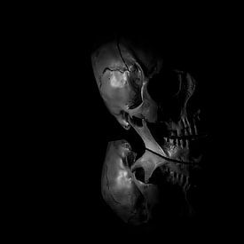 Gebrochene Stille von Mario Letschert