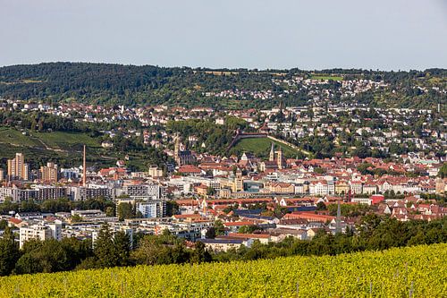 View of Esslingen am Neckar with the old town and castle by Werner Dieterich