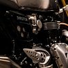 Triumph Thruxton R von Westland Op Wielen