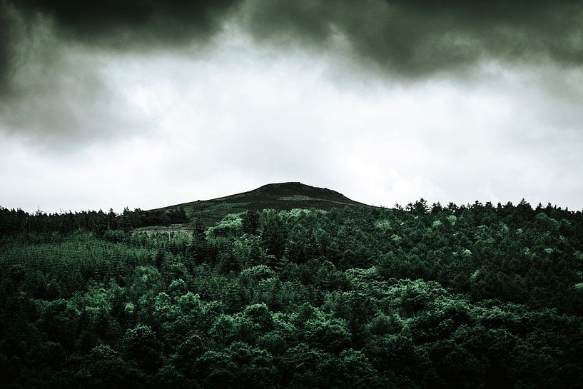 Green hill by Walljar